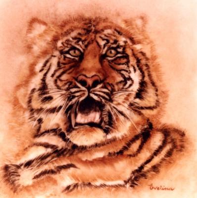 The tiger - by Pietrolucci R.