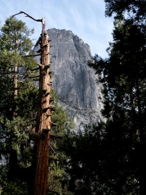 Yosemite.jpg (NFS)