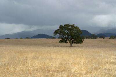 Chumash Storm