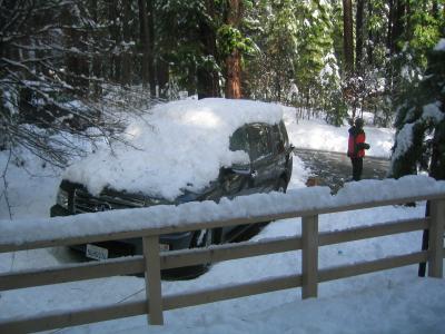 New Year Snow!!