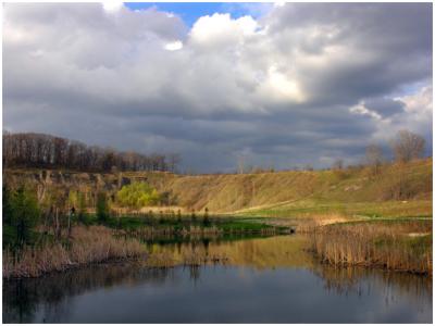 Pond at the Brickworks