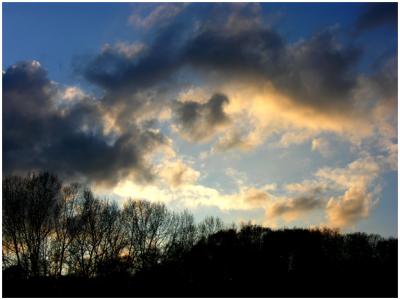 Brickworks Treeline