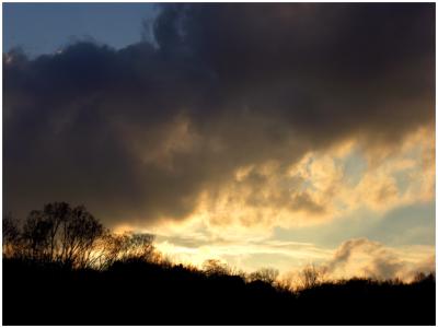 Brickworks Treeline