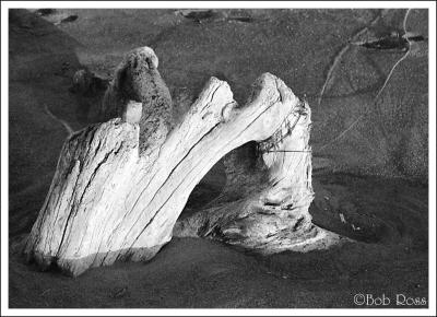 Drift Arch - Manchester Beach