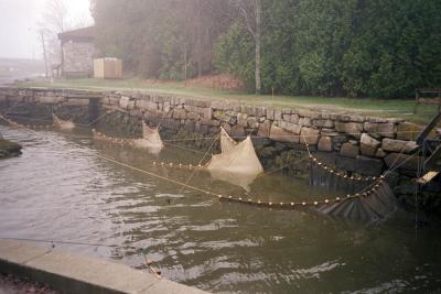 eel traps tide in