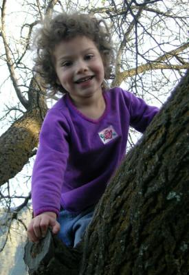 Girl Up a Tree....jpg