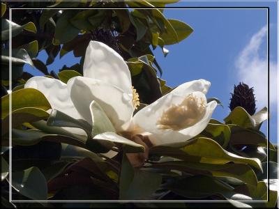 May 2:  What A Difference A Day Makes