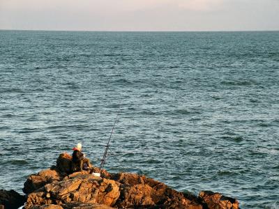 Cove Bay... Aberdeen...