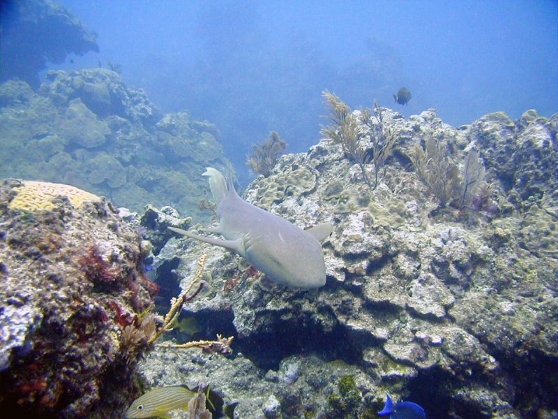 20020709-142953.JPG