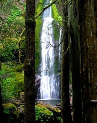 Waterfall in the woods.jpg