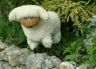sheep 1
