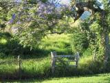 <b>Tree & Fence</b><br><font size=2>Maui