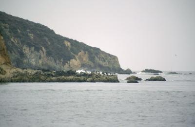 33 Leaving Tomales