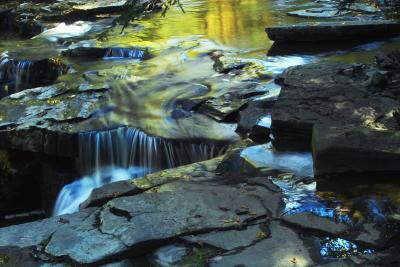 Fall Reflections