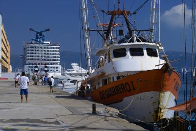 Acapulco Harbor Scene