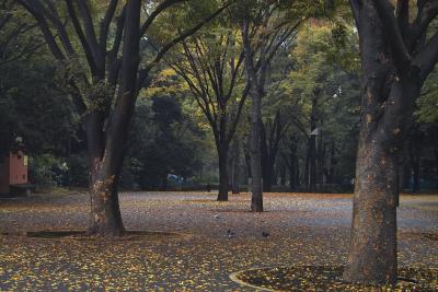 The Ueno Park