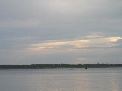 and Hippos at Lake Sibaya