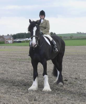 Cleeve Hill Heavy horse Show May 2005