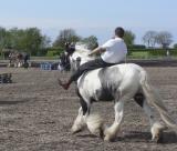 Riding bareback