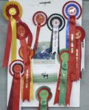 Harveys Rosettes.