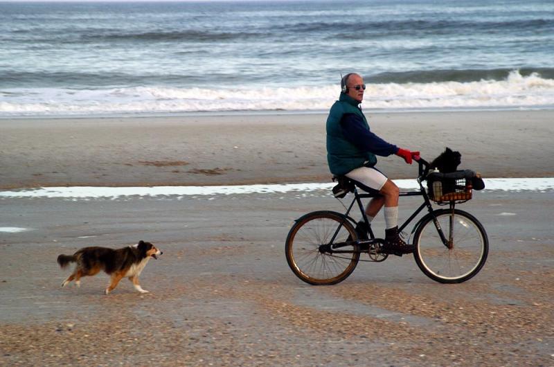 bike1.jpg