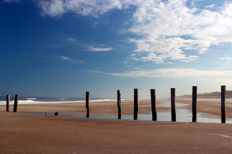 pilings1.jpg