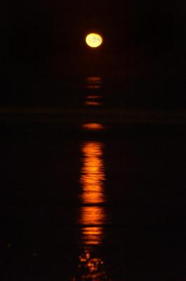 moonrise.jpg