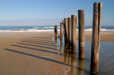 pilings3.jpg