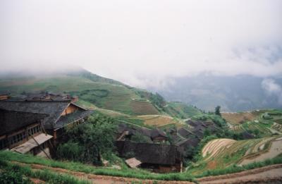 rice terrace2.jpg