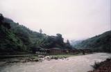 rice terrace1.jpg
