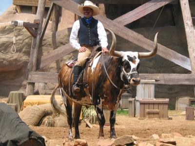 Riding a longhorn