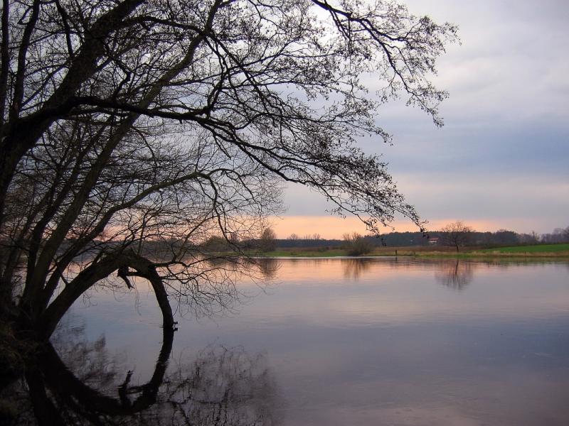 Narew River