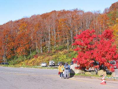 In front of an onzen hotel on the way to Oirase.  Its unbelievable . the color.