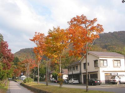 Road into Towada Lake