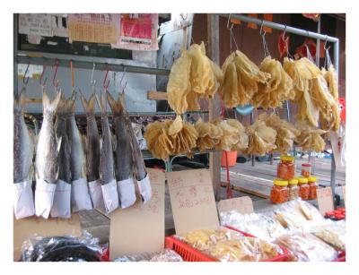 Tai O fishing village