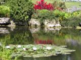 The Pond at Gairloch Gardens