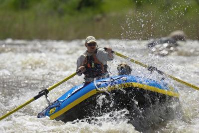 Salt River Rafting Dog