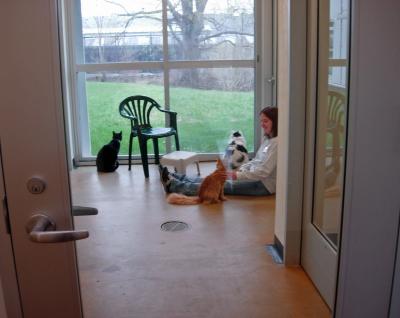 A volunteer at Tompkins SPCA enjoying some quality time with the kitties.