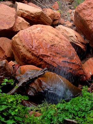 Through the Waterfall