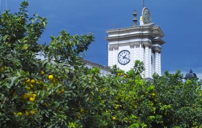 town hall, oranges