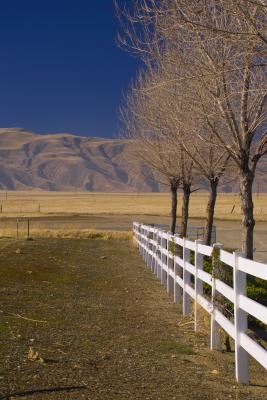 california central valley