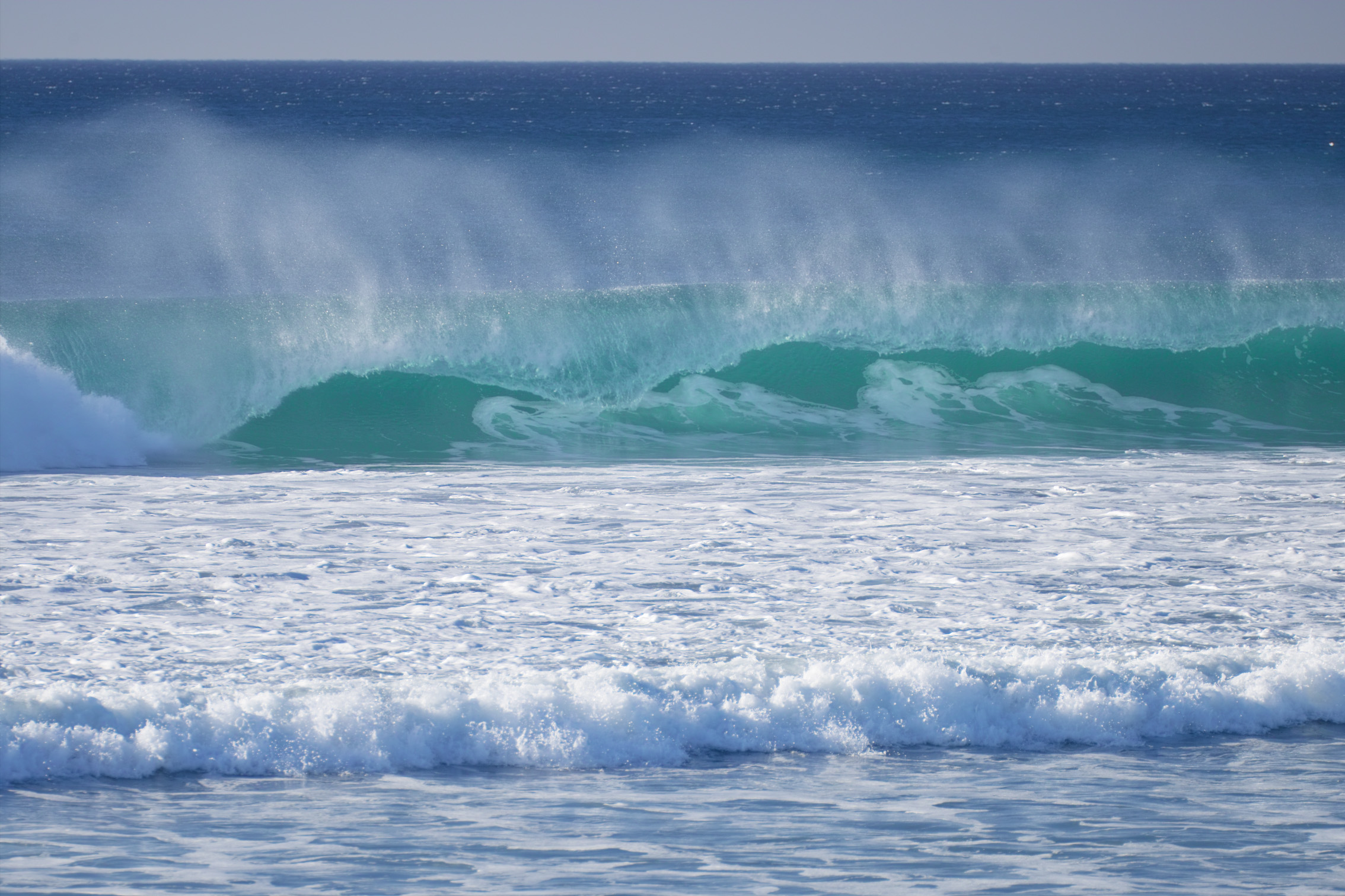 surf in del mar