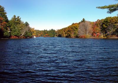 mt wachusett area