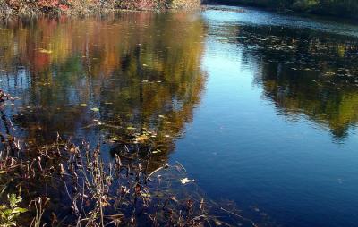 mt wachusett area