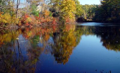 mt wachusett area