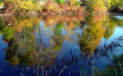 mt wachusett area