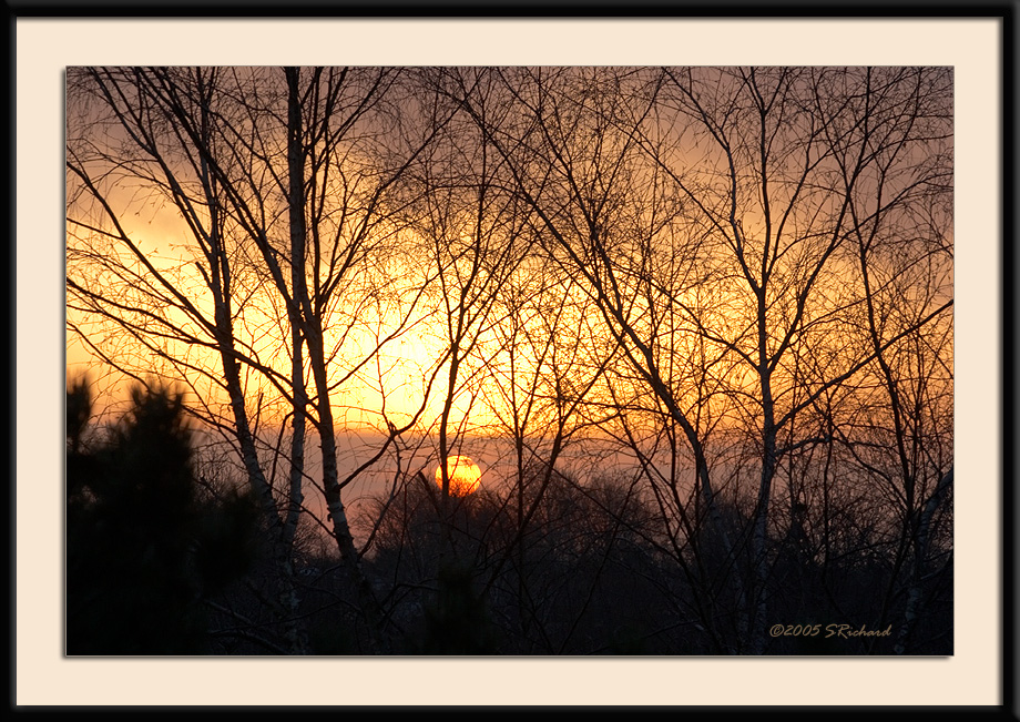 Spring sunrise II