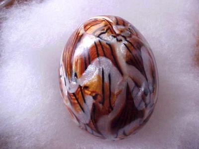 Tiger egg