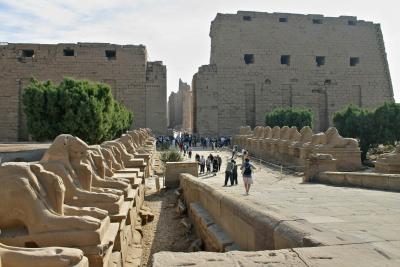 Temple in Luxor