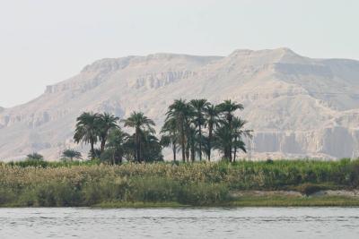 The dead side of the Nile
